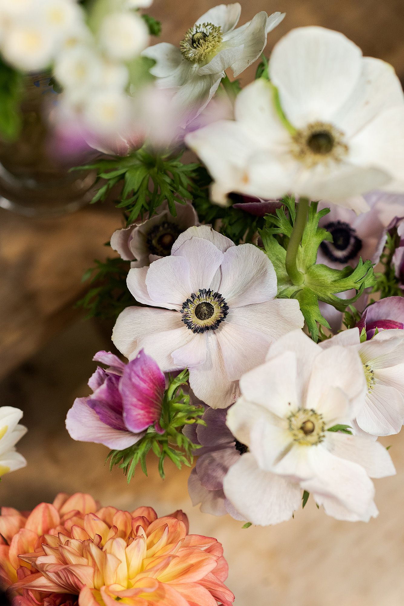 White anemone flowers with dark centers arranged alongside coral-colored blooms in a soft floral arrangement.