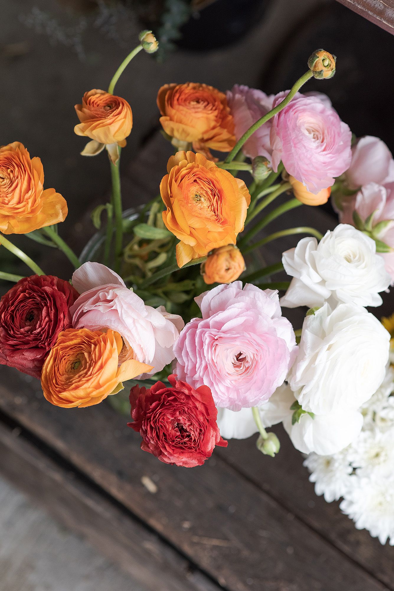 Fresh cut ranunculus flowers in shades of orange, burgundy, pink and white arranged on a dark wooden surface.