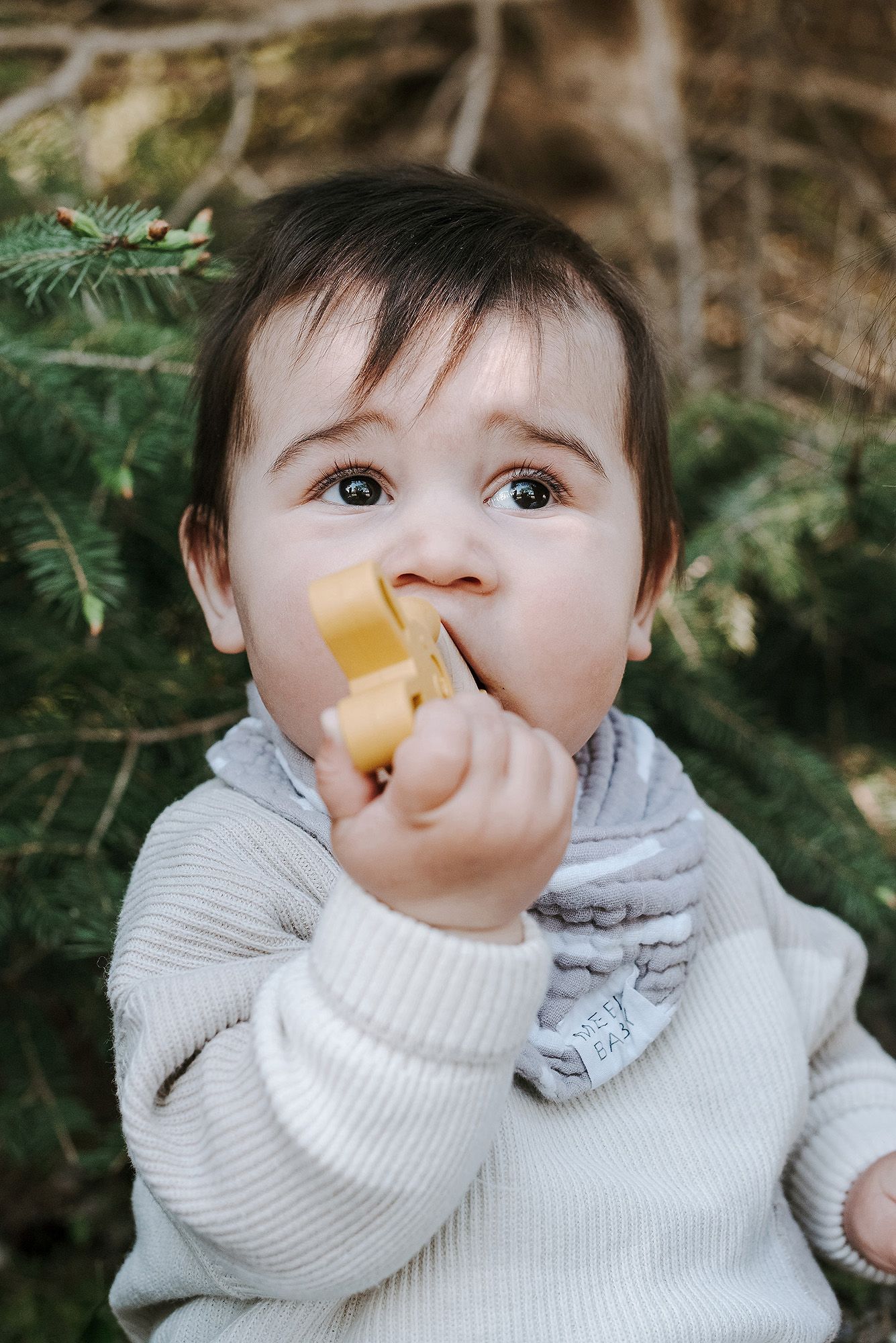 Baby in white sweater playfully holding a pacifier while sitting outdoors near evergreen trees.