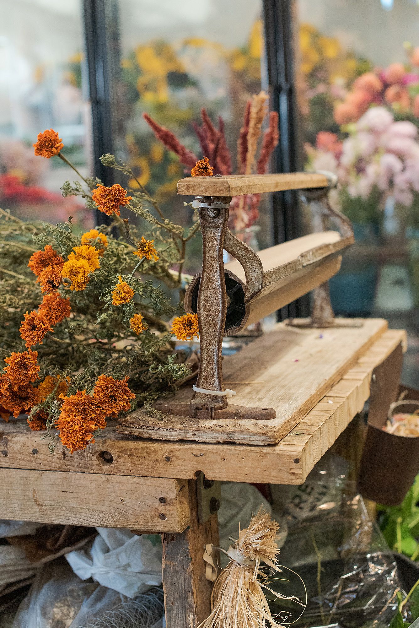 Rustic wooden workbench decorated with vibrant orange marigold flowers and vintage metal tools.