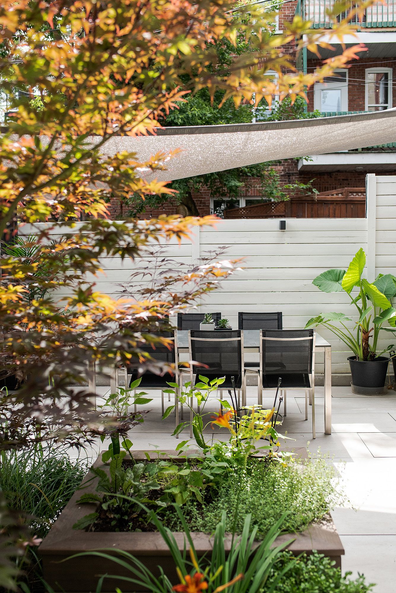 Modern outdoor patio space with sleek dining furniture and lush tropical plants against white walls and wooden accents.