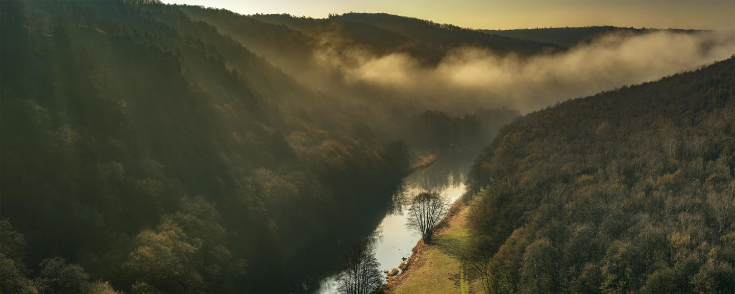fotografie michal schneider foto photo photography údolí dyje řeka mlha slunce nationalpark thayatal podyjí les Profesionální fotograf cena