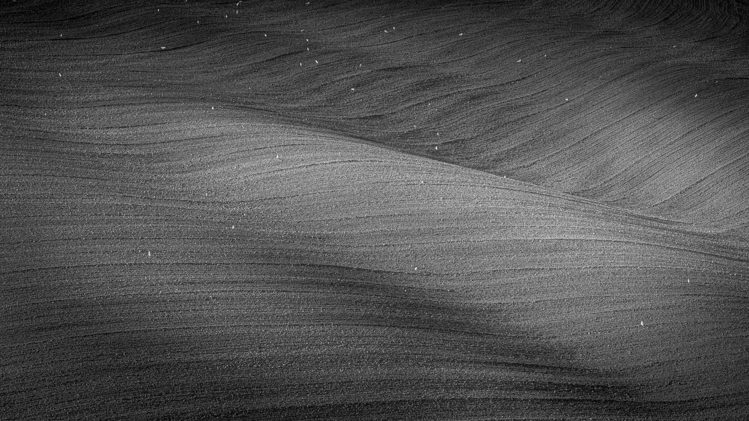 fotografie michal schneider foto photo photography italy italie toskansko toskánsko tuscany black and white light světlo západ pole cesta
