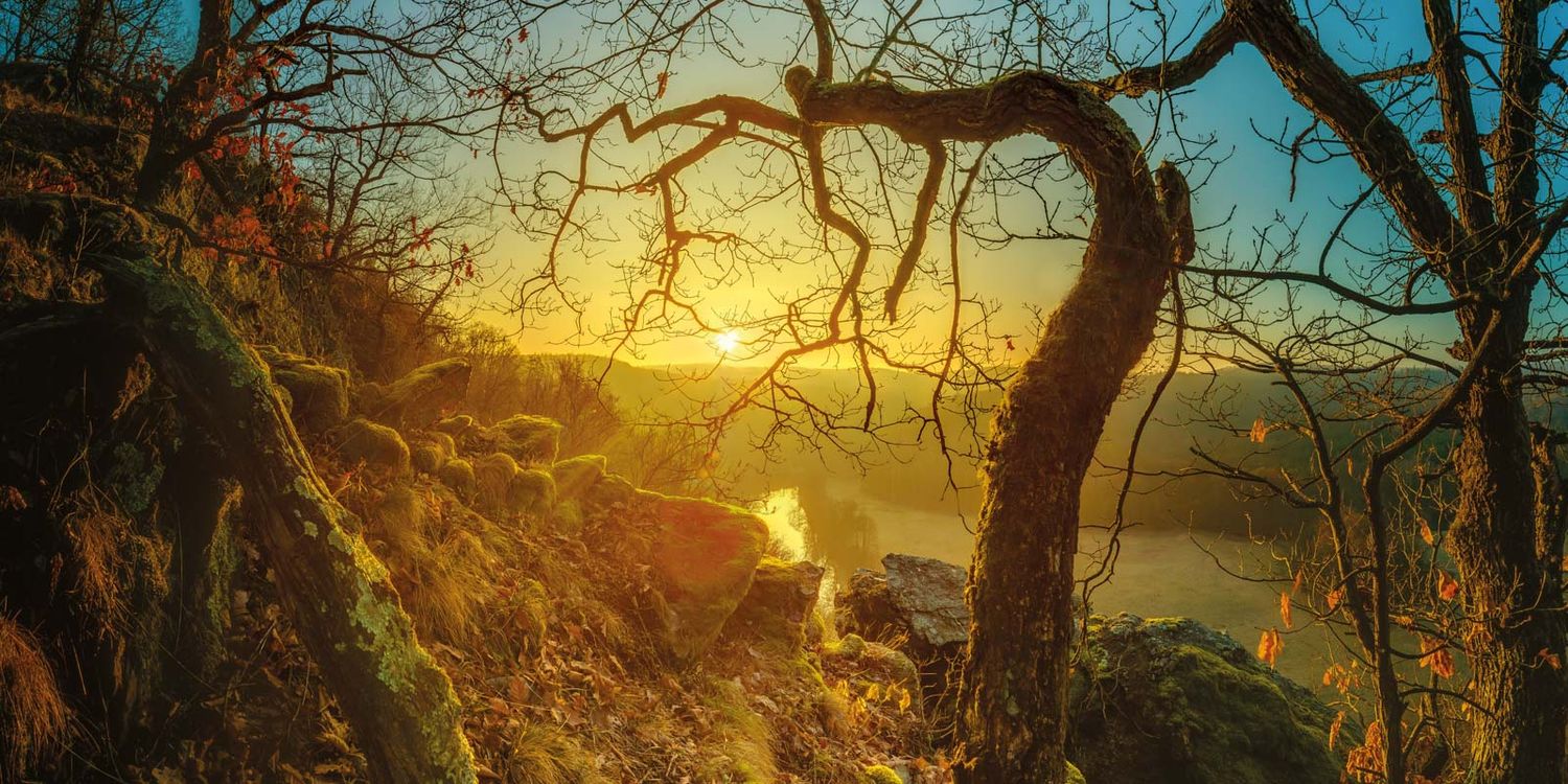 fotografie michal schneider foto photo photography údolí dyje řeka mlha slunce nationalpark thayatal podyjí les Profesionální fotograf cena