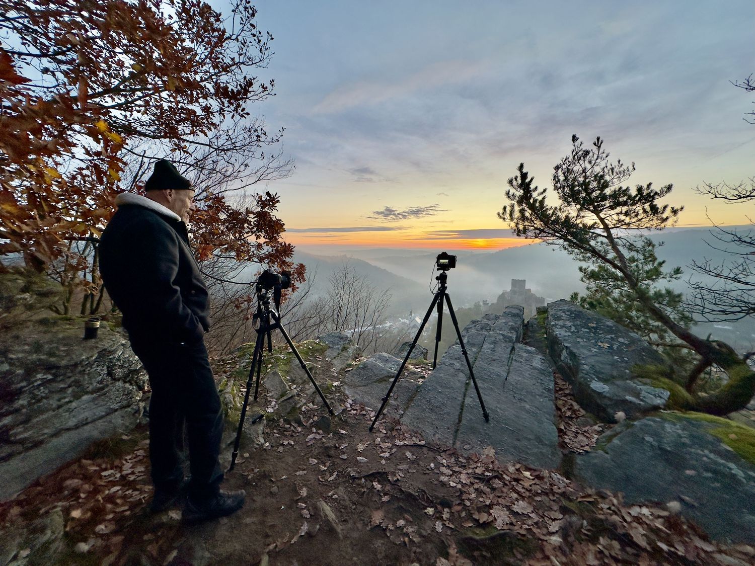 fotografie michal schneider foto photo photography údolí dyje řeka mlha slunce nationalpark thayatal podyjí les Profesionální fotograf cena