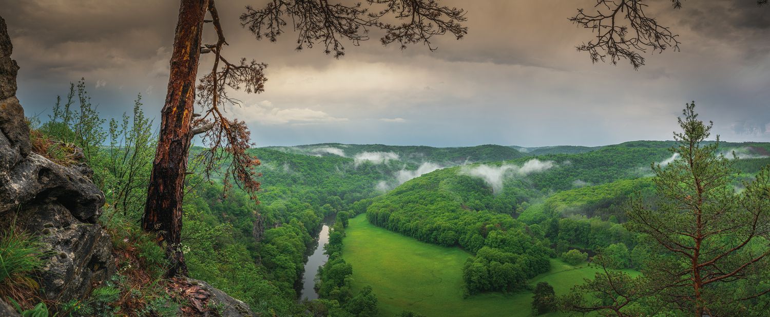 fotografie michal schneider foto photo photography údolí dyje řeka mlha slunce nationalpark thayatal podyjí les Profesionální fotograf cena