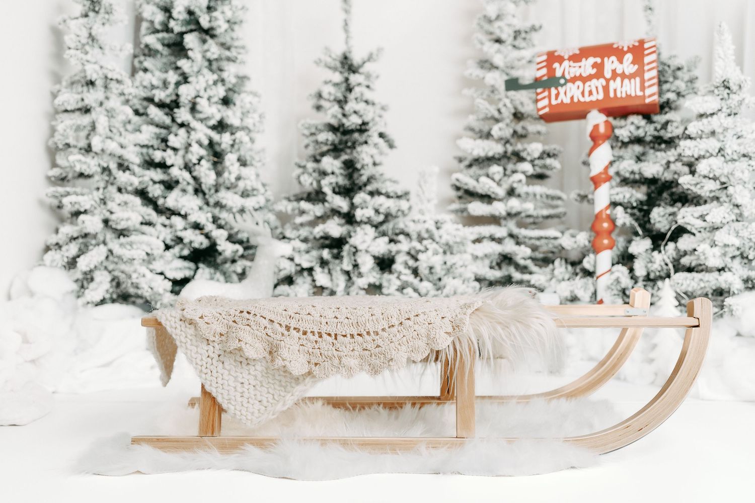 ottawa christmas mini photography