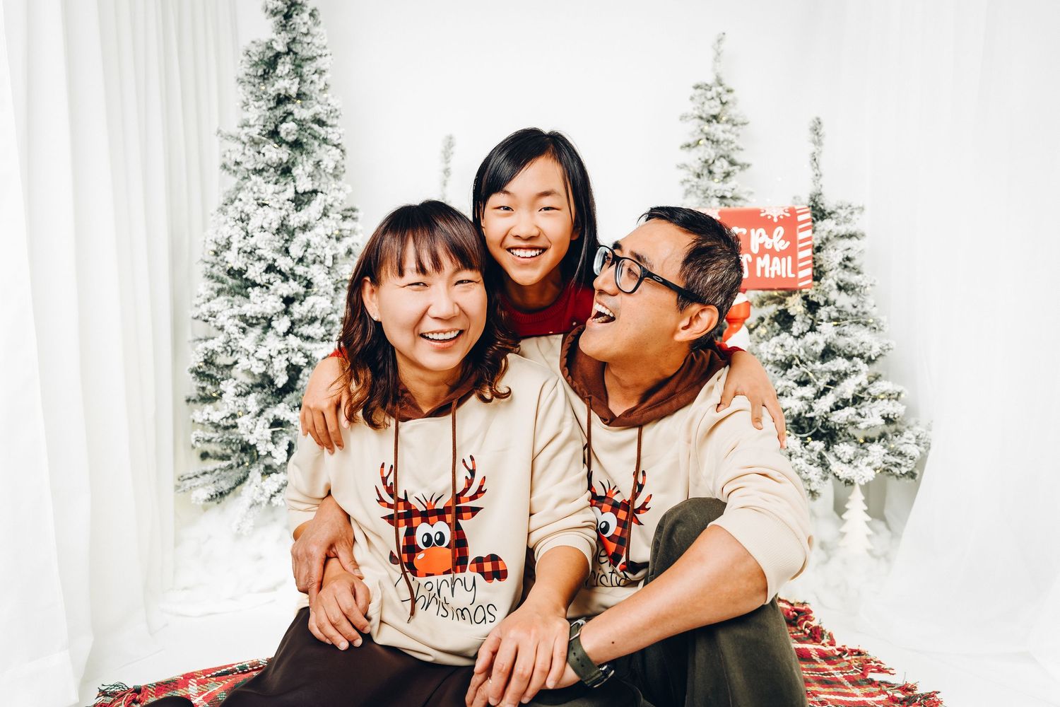 Christmas minis Ottawa photographer