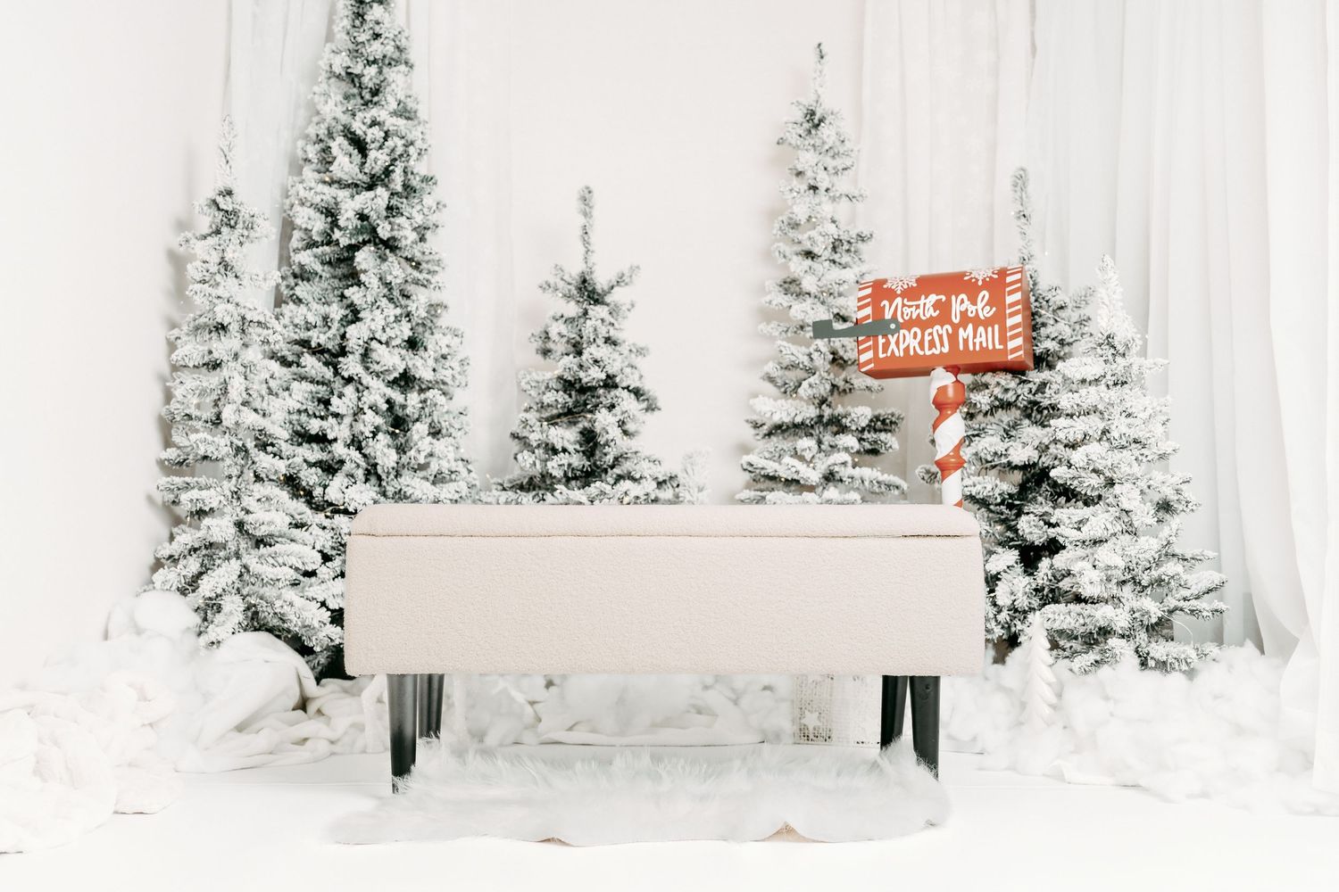 ottawa christmas mini photography
