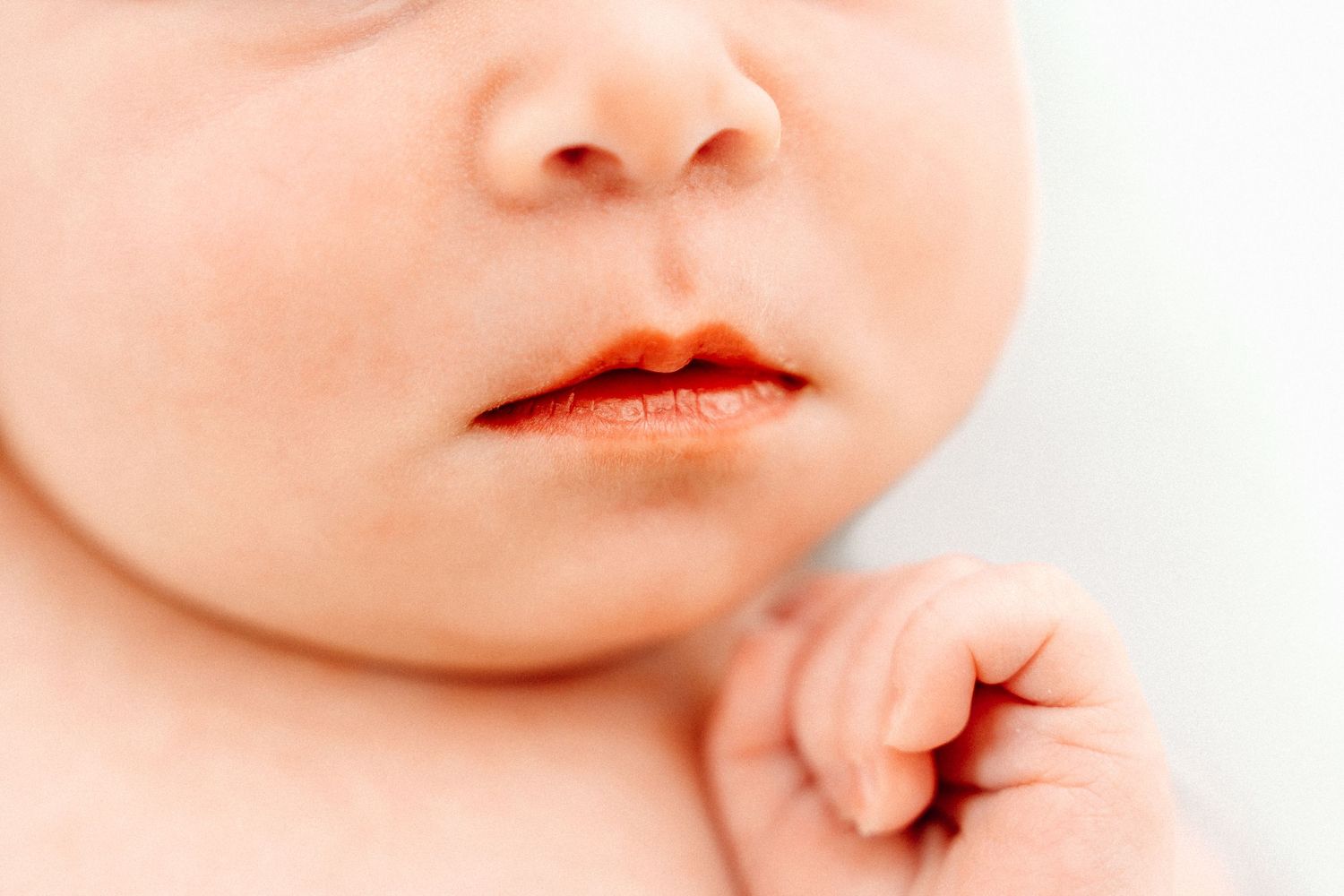 Ottawa newborn photographer