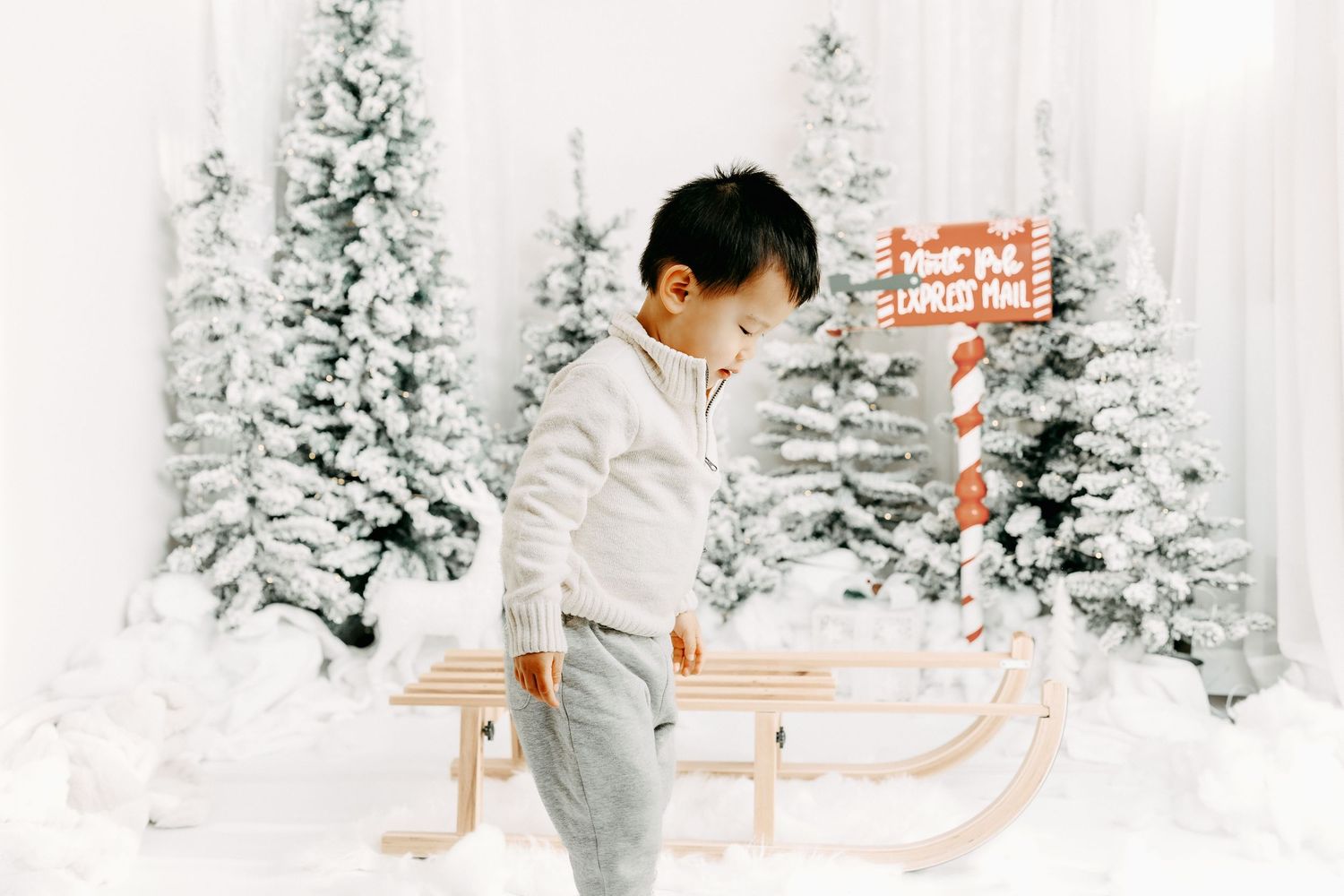 Christmas family photos Ottawa