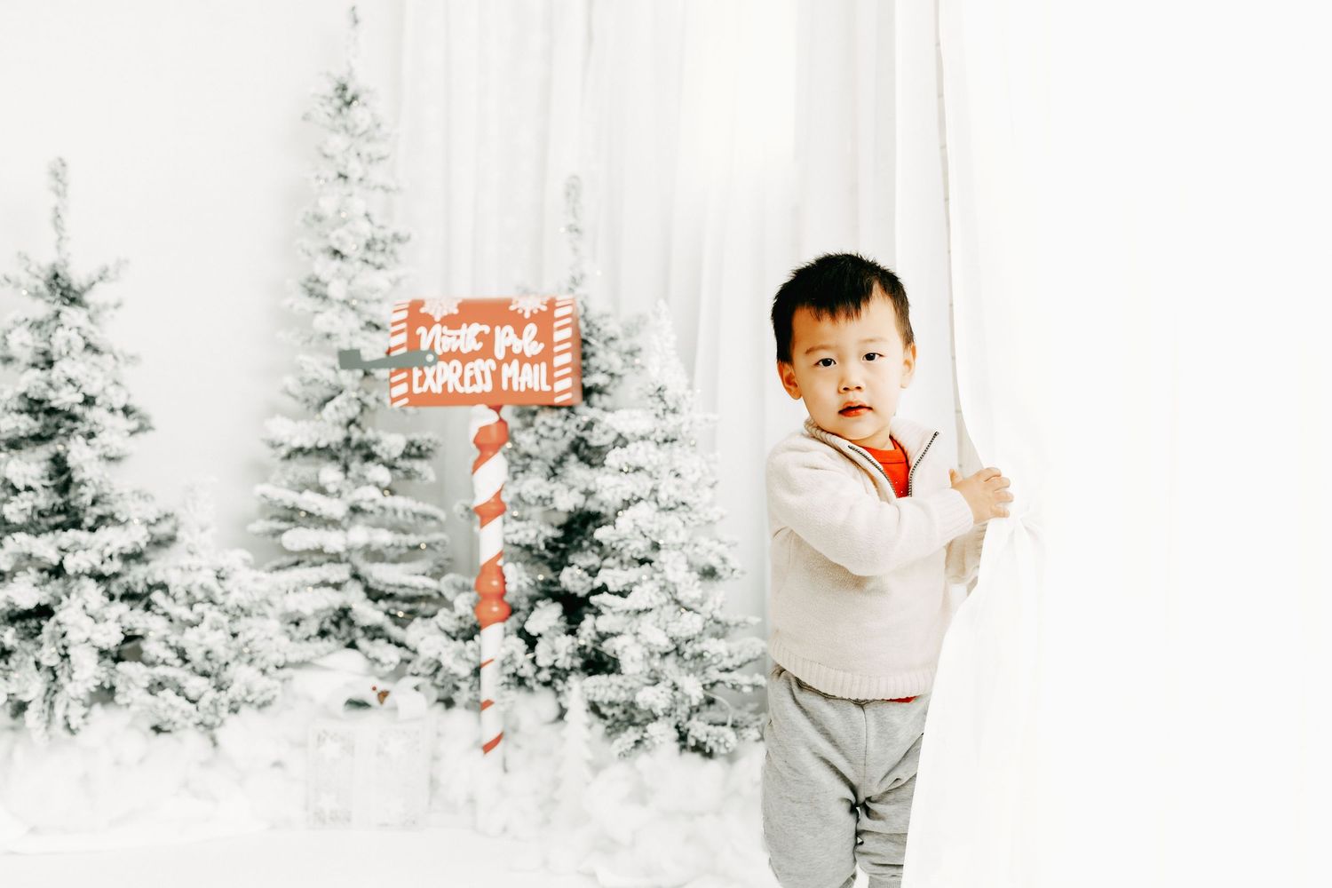 Ottawa holiday photo studio