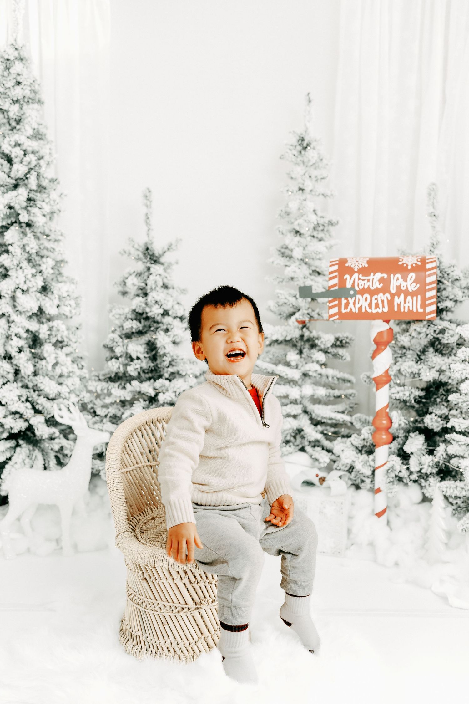 Ottawa Christmas mini sessions