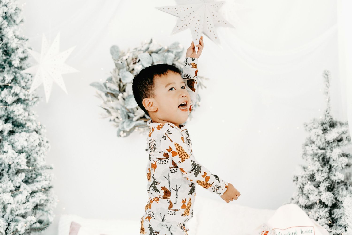 Ottawa holiday photo studio