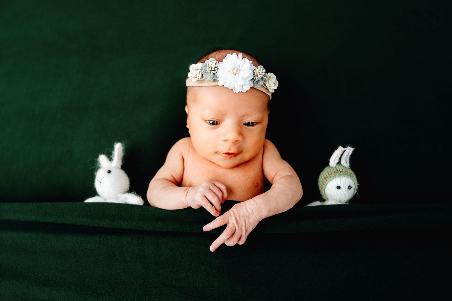 Ottawa newborn photographer