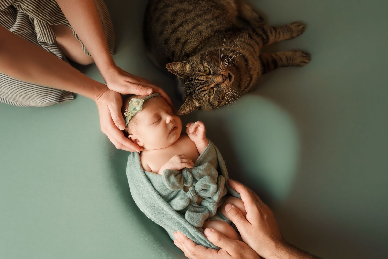 Ottawa newborn photographer