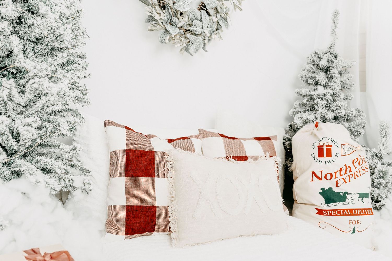 Ottawa Christmas mini sessions