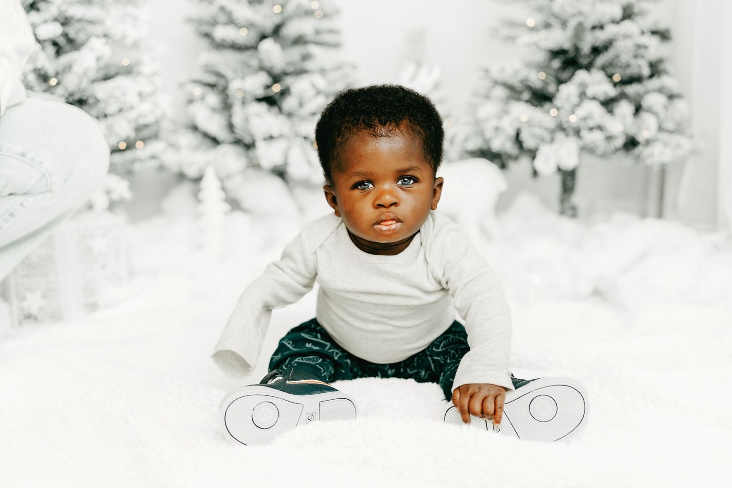 Ottawa Christmas mini sessions