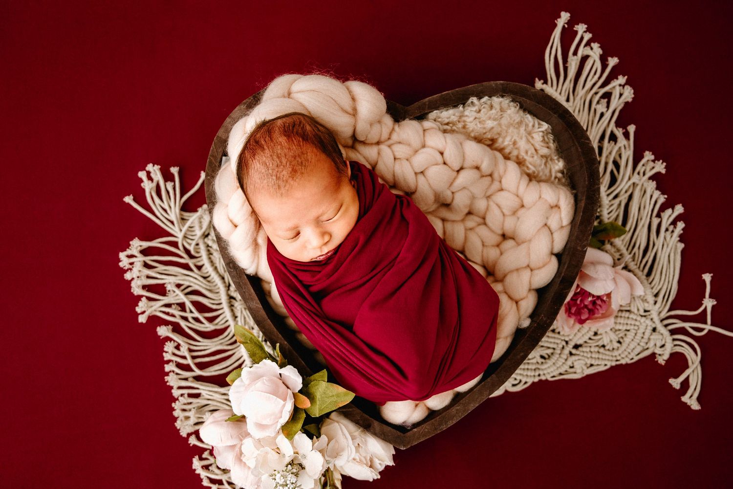Newborn photography in studio ottawa