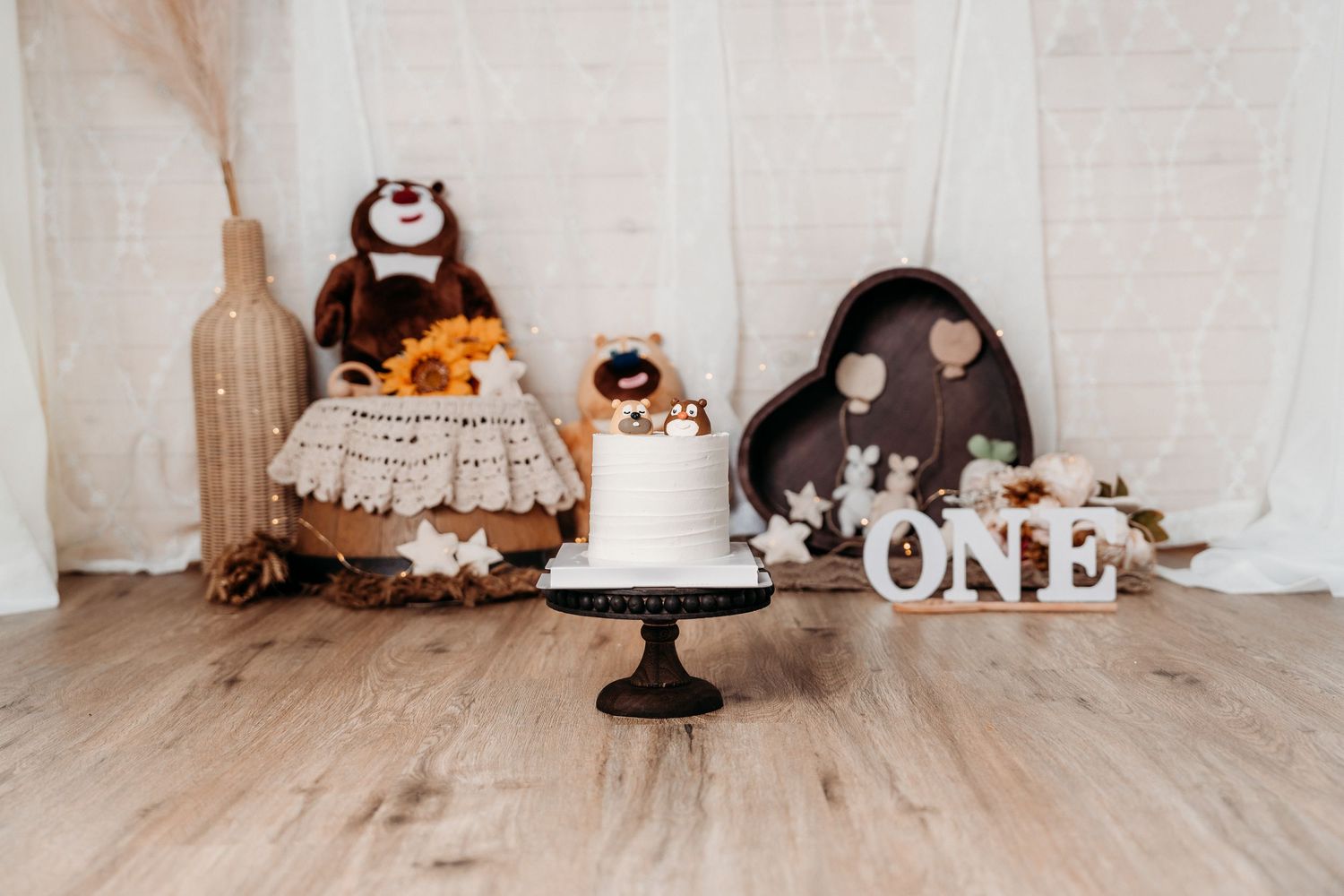Ottawa cake smash photographer