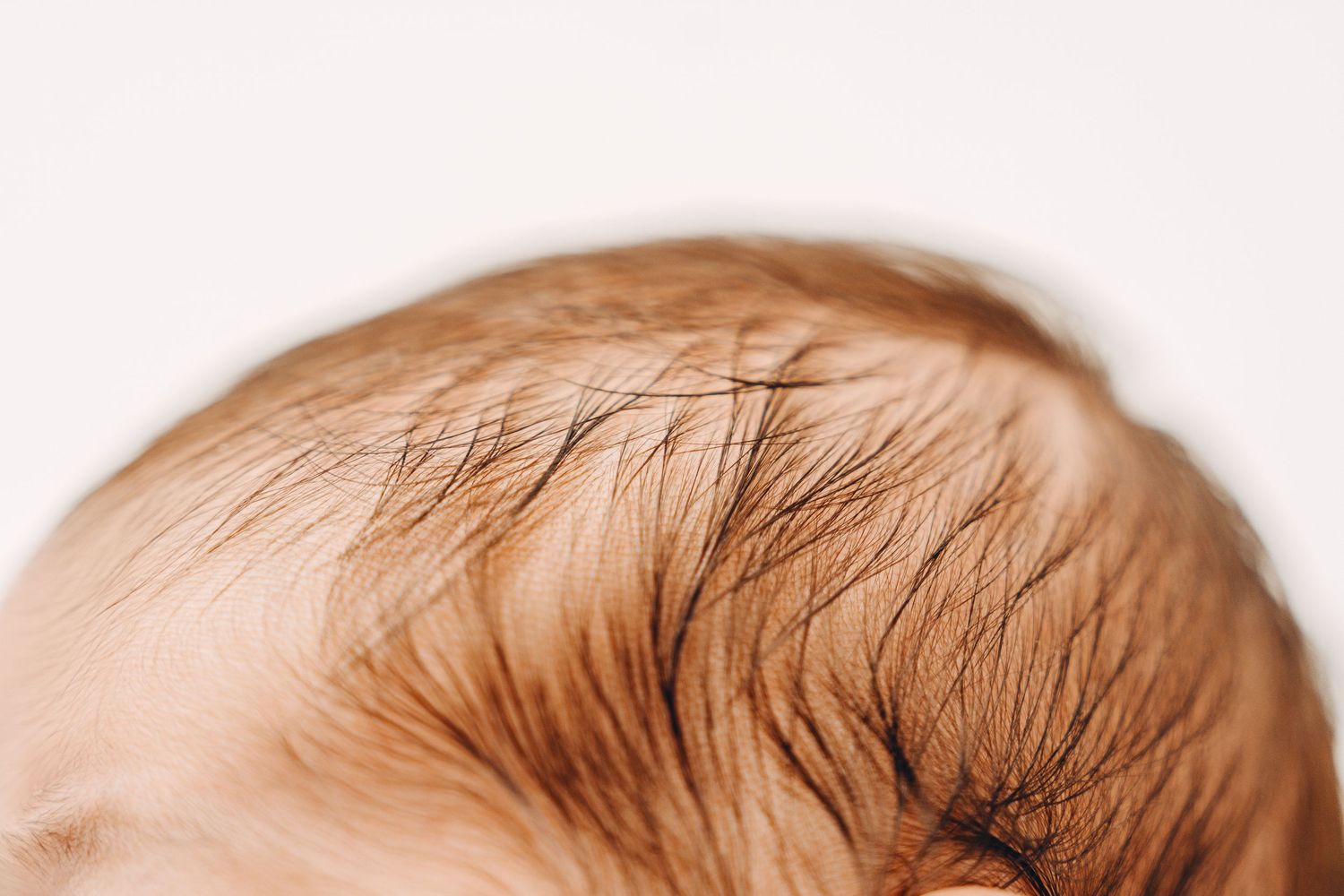 Kanata newborn photo studio
