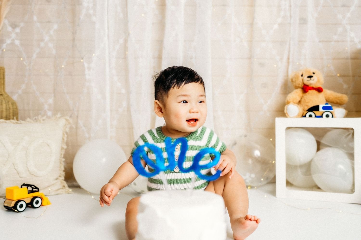 ottawa baby cake smash photography