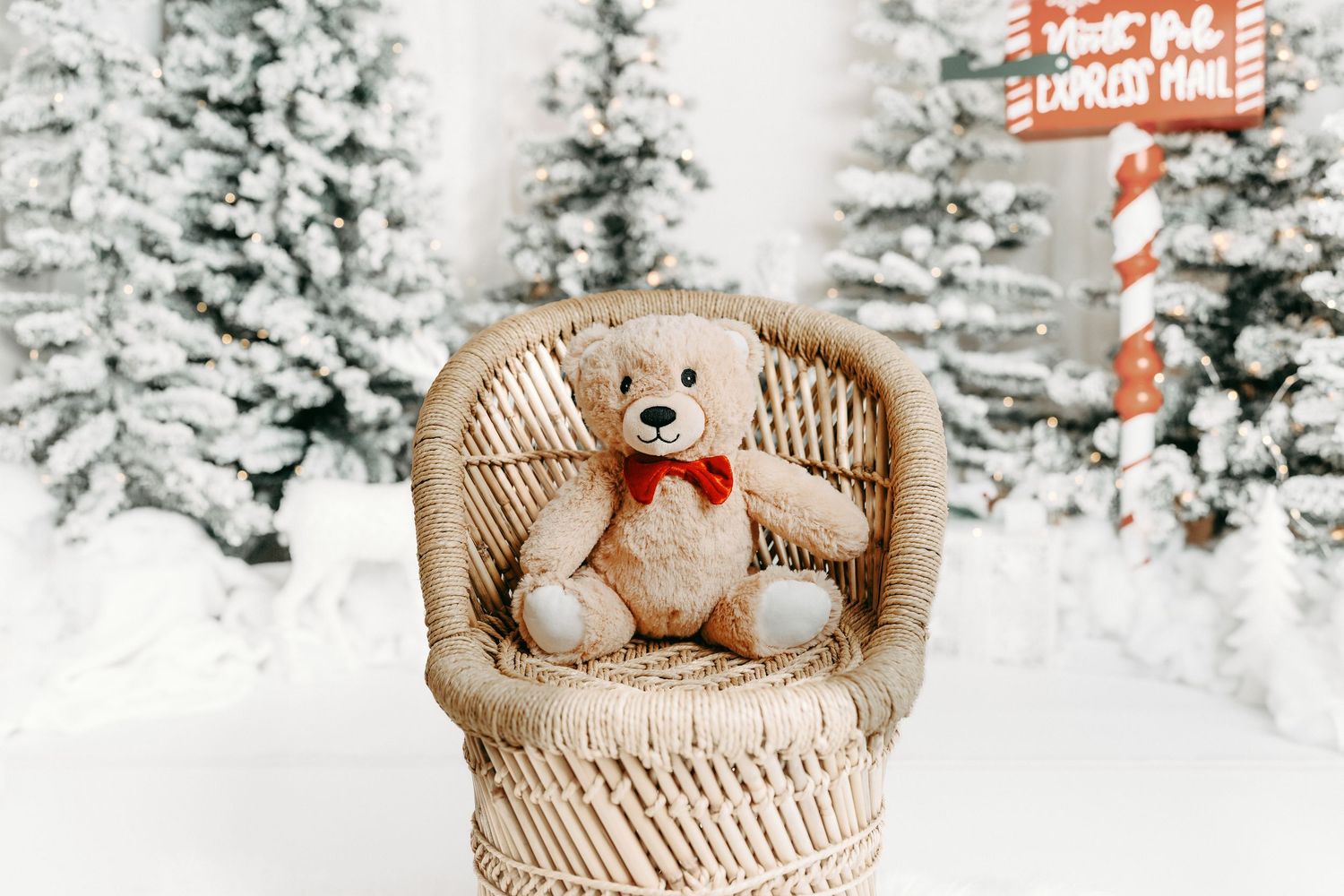 ottawa christmas mini photography