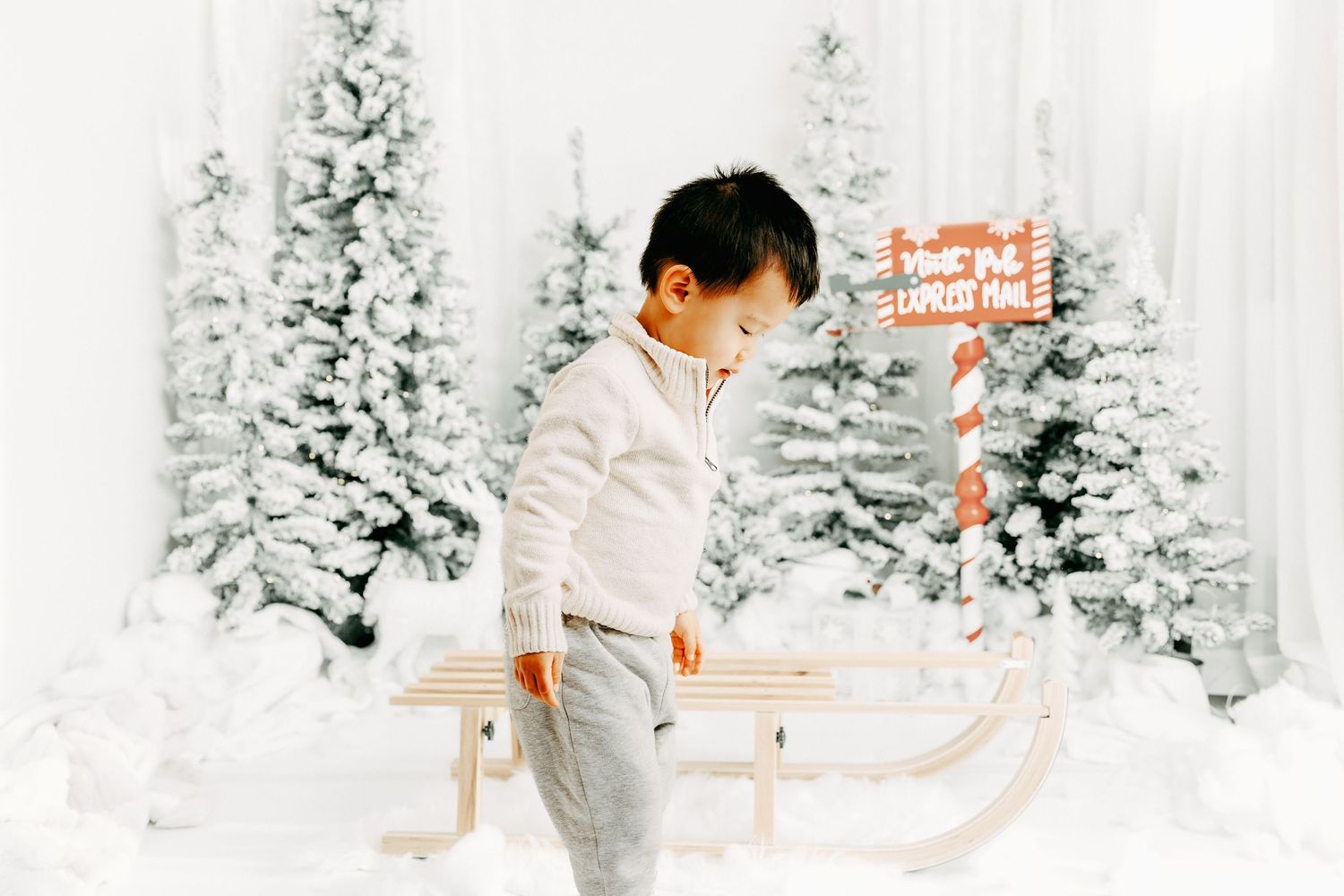 Christmas minis Ottawa photographer