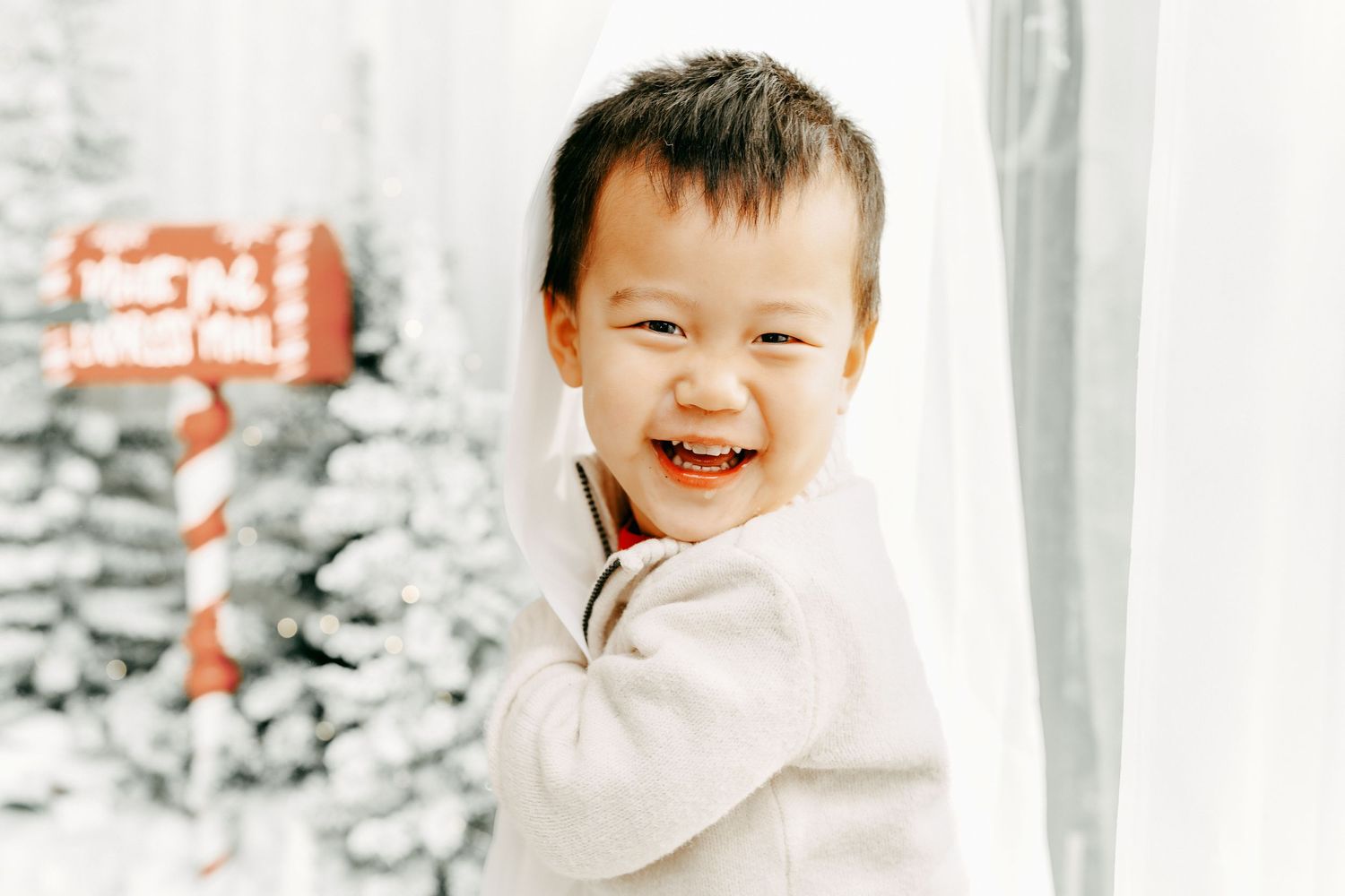 Christmas family photos Ottawa