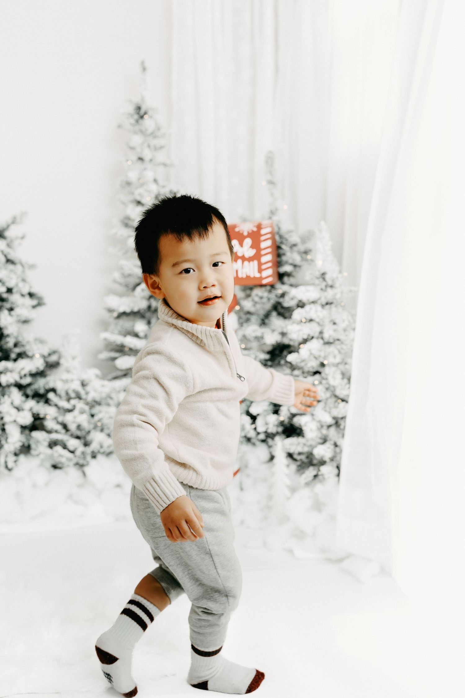 christmas mini photos ottawa