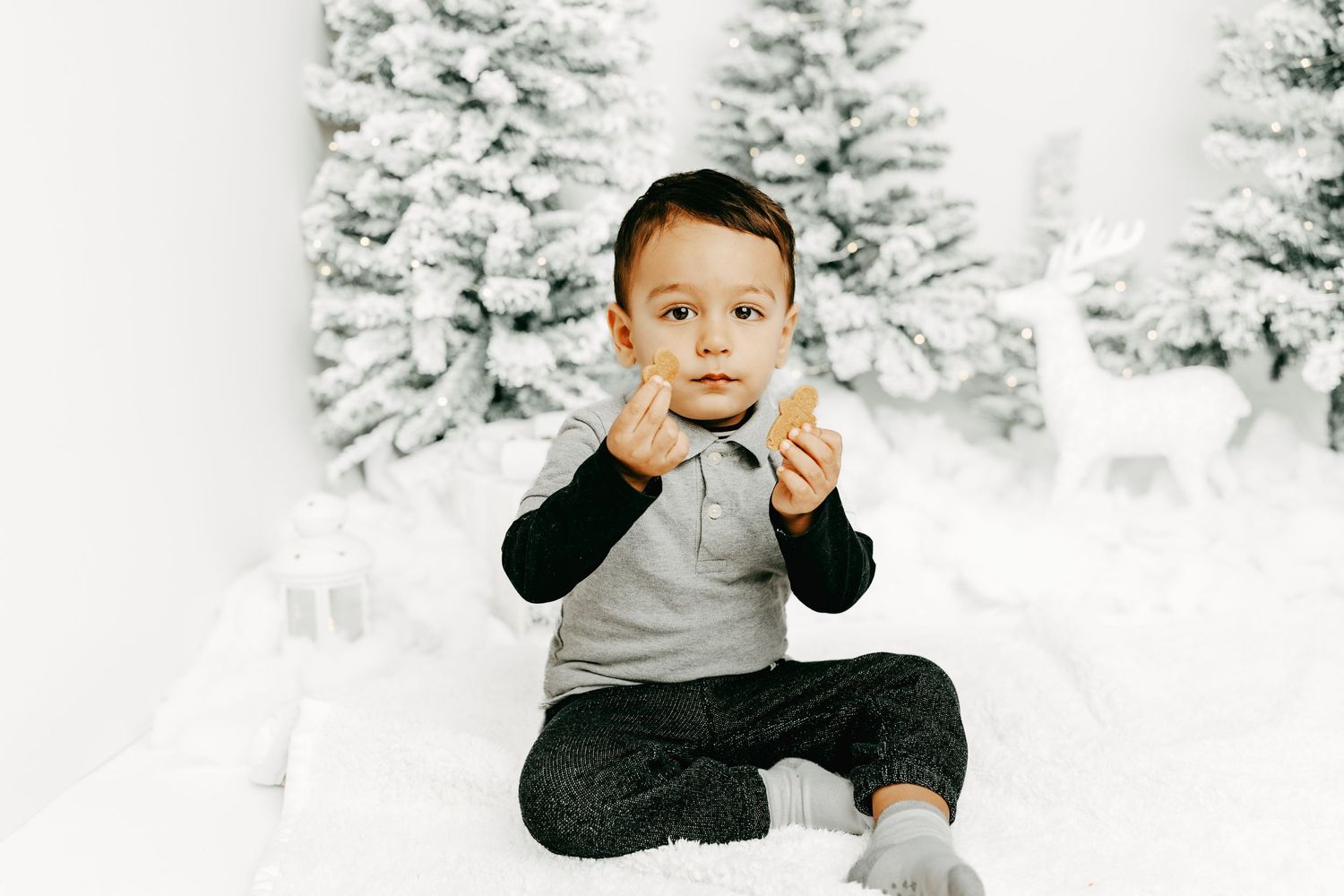 Christmas family photos Ottawa