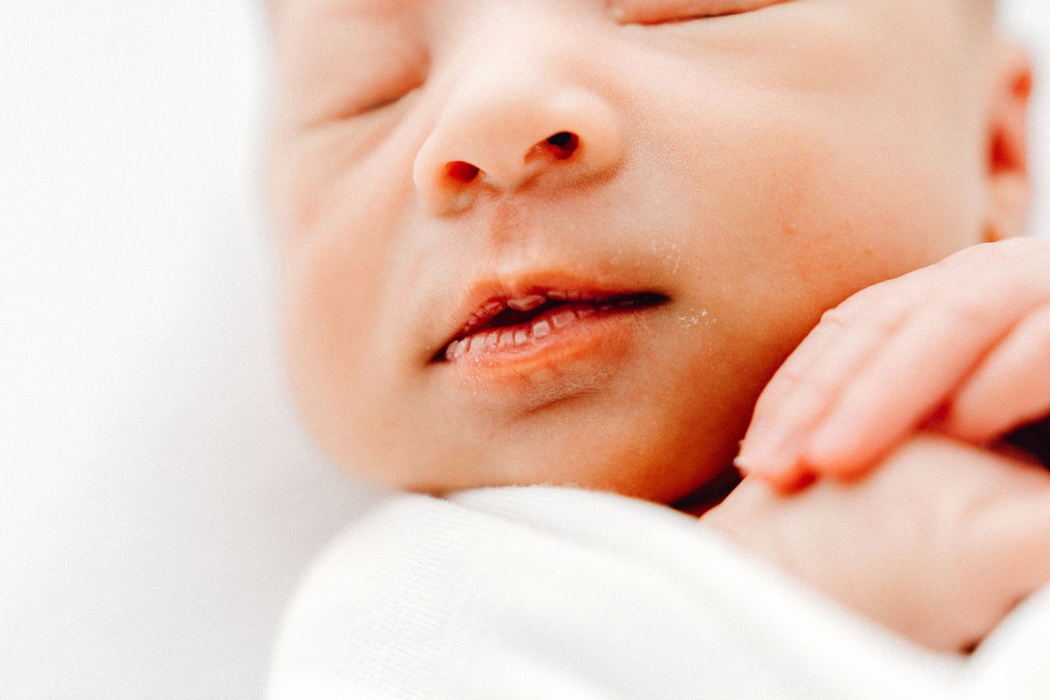 Ottawa newborn photographer