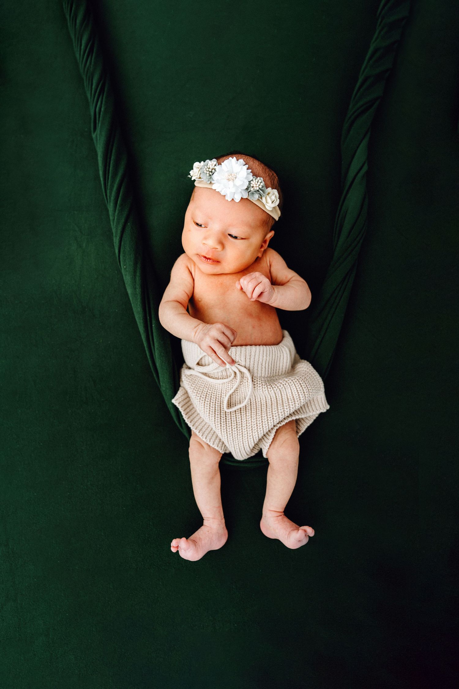 Ottawa newborn photographer