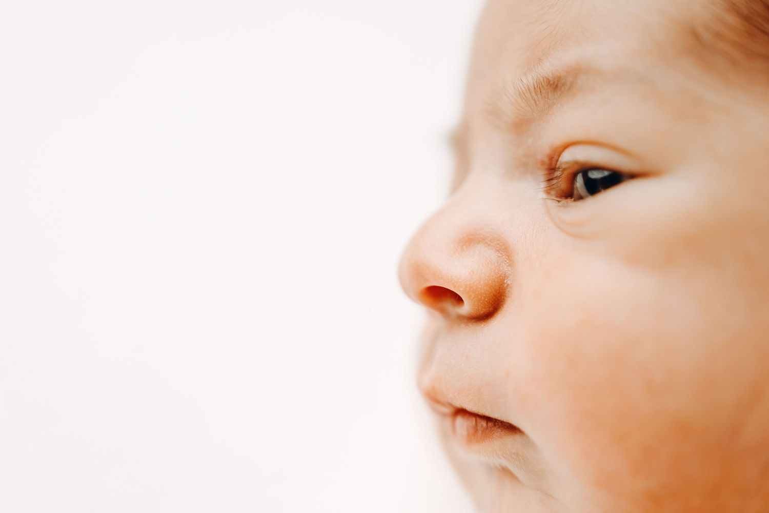 Ottawa newborn photographer