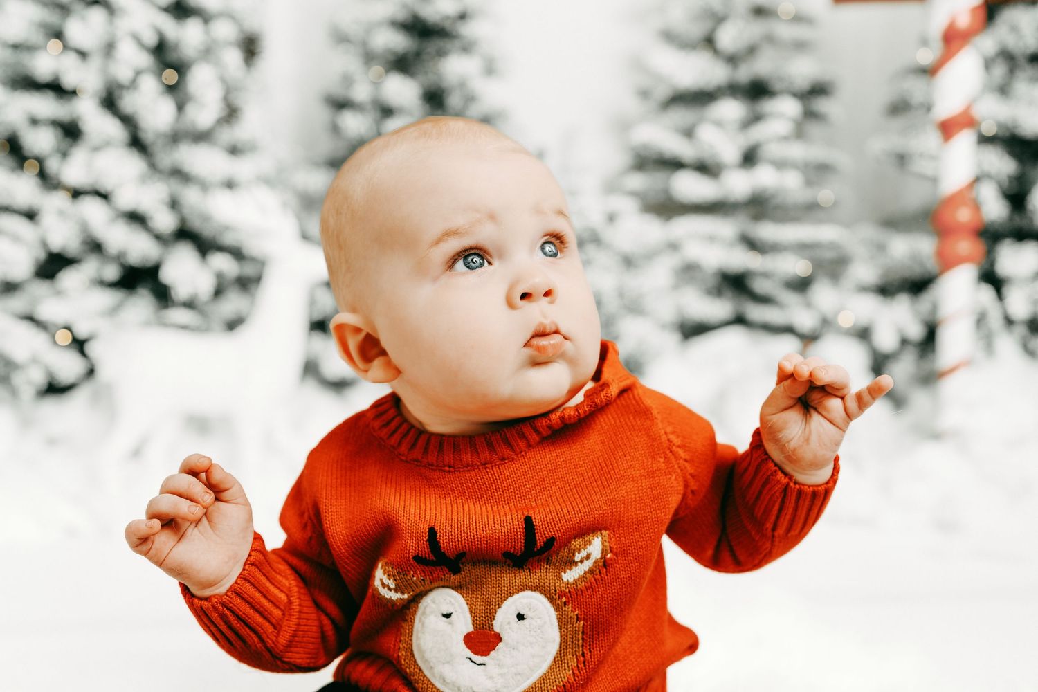 Winter holiday portraits
