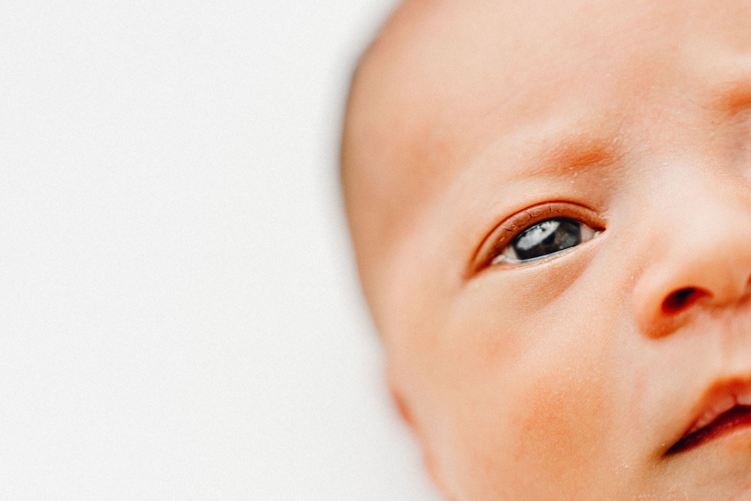 Ottawa newborn photographer