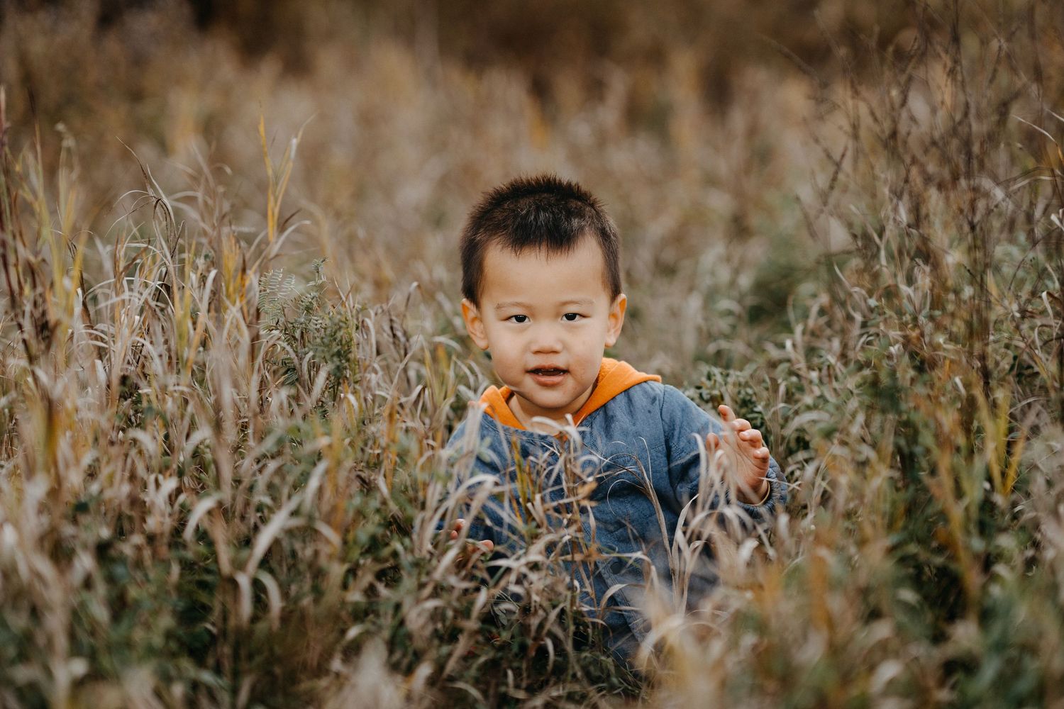 ottawa outdoor fall mini session