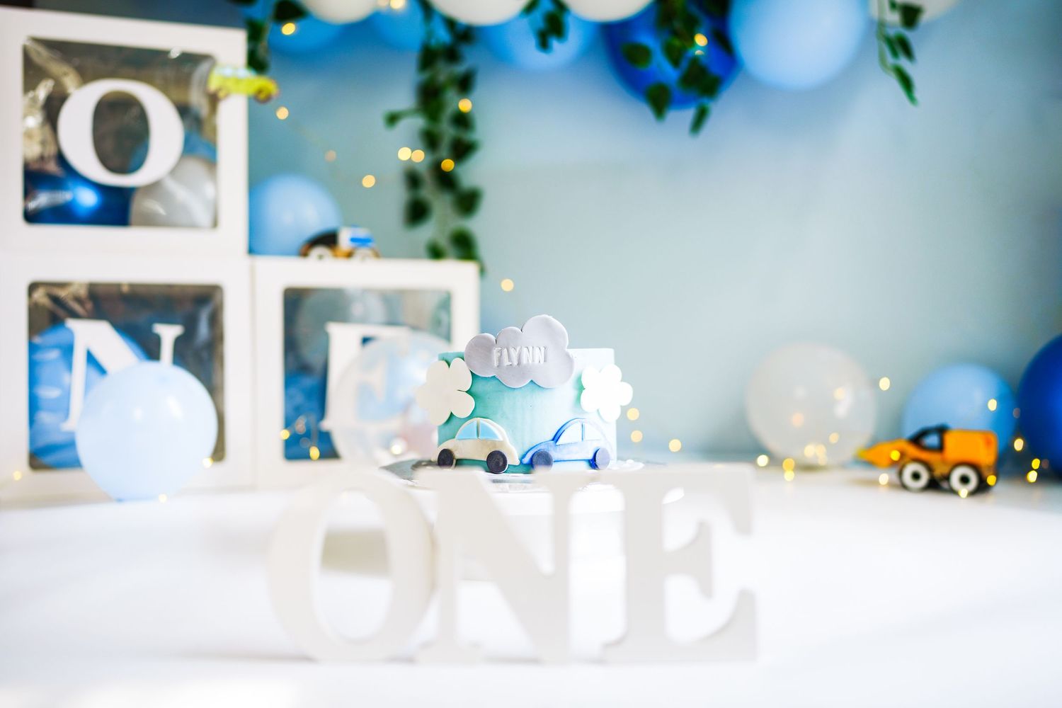 Ottawa cake smash photographer