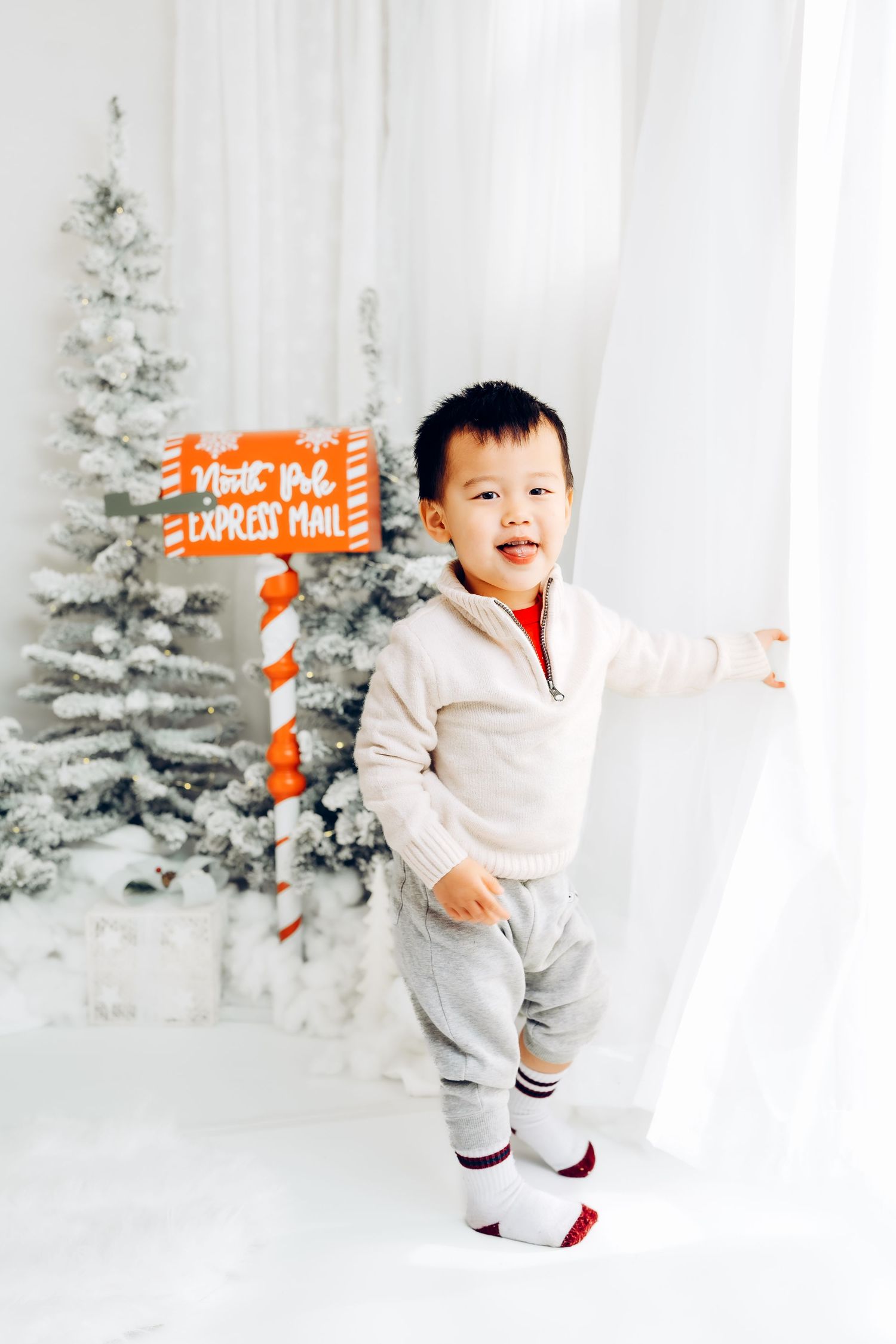 Kanata christmas mini photo session