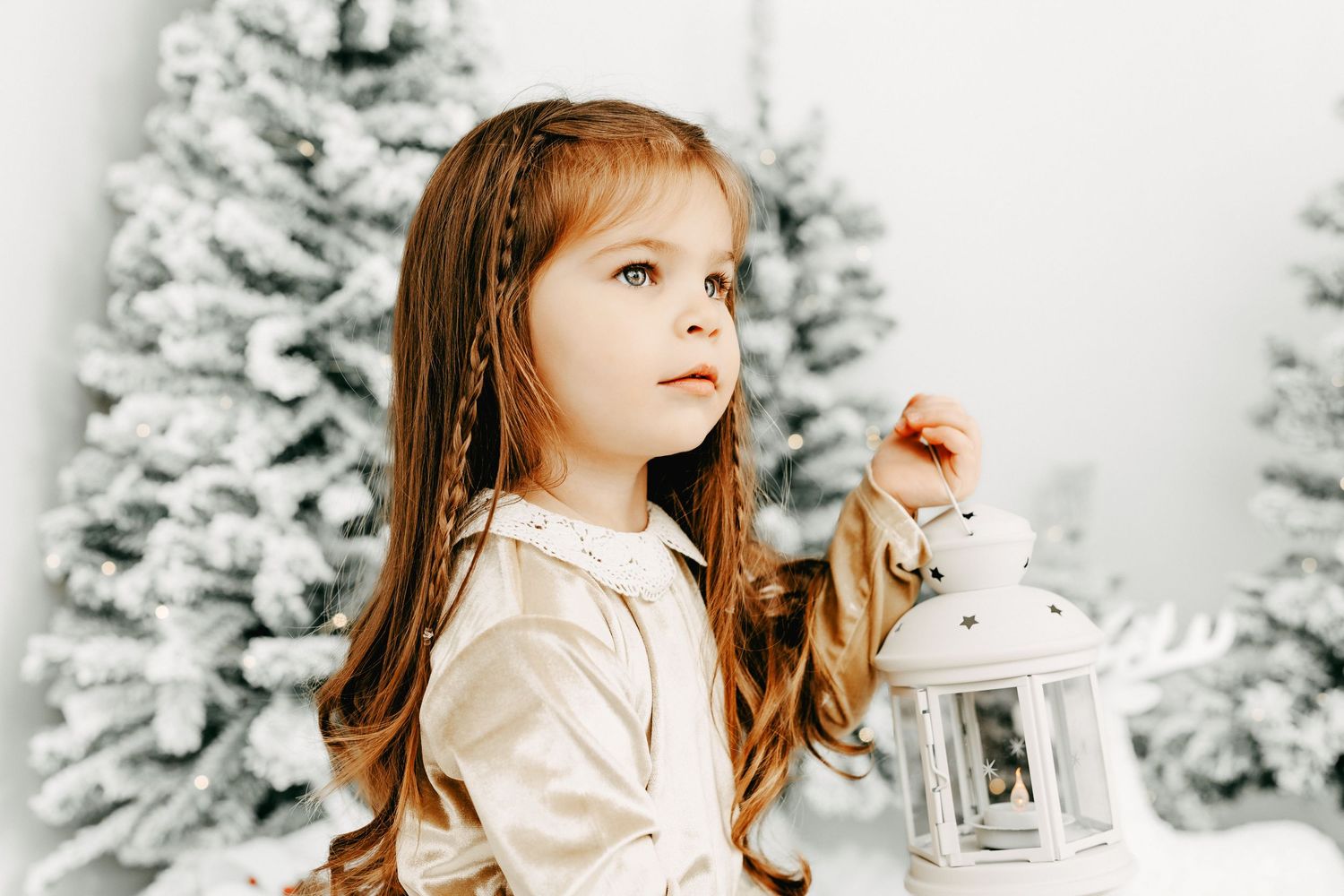 Holiday studio sessions Ottawa