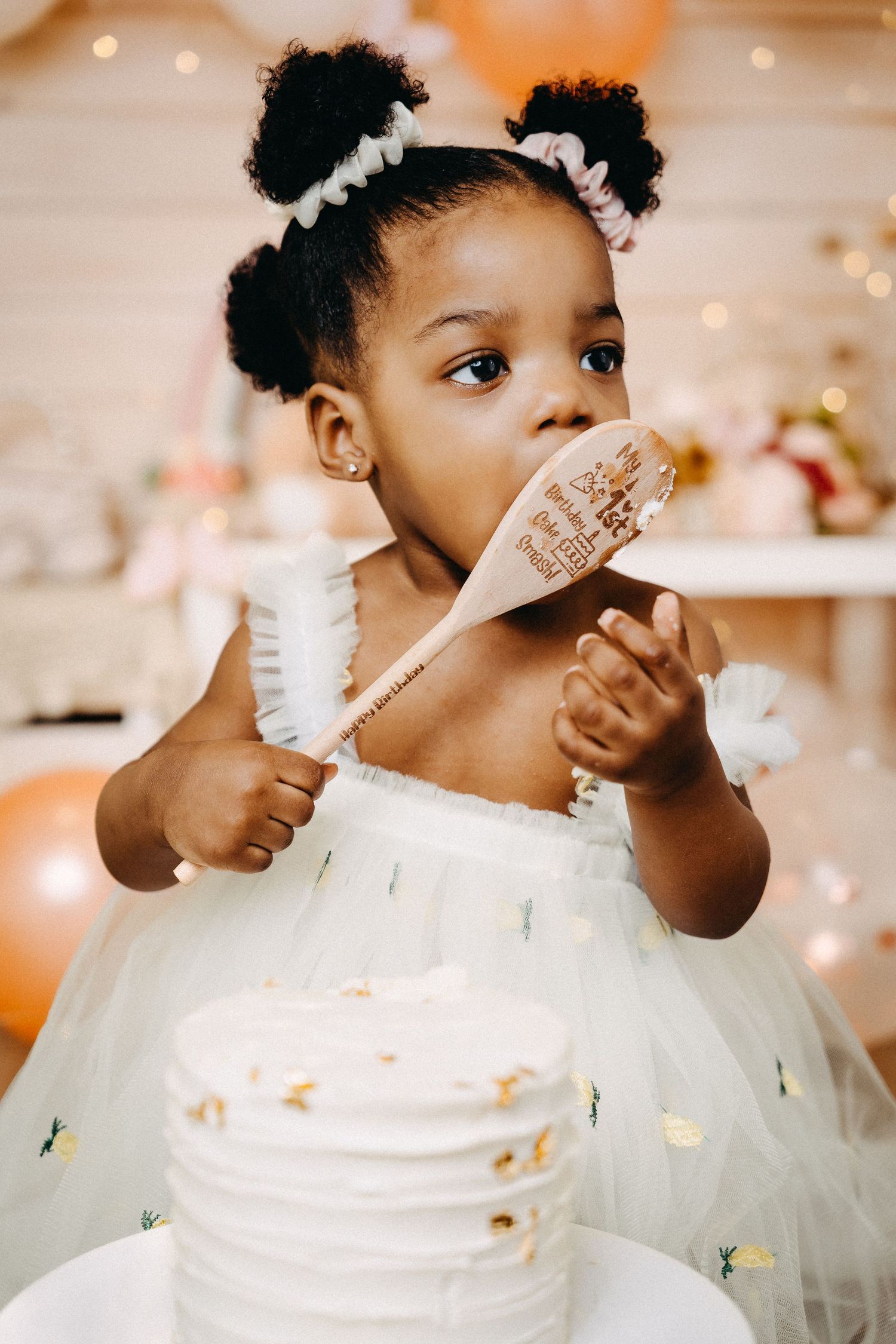 ottawa baby cake smash photography