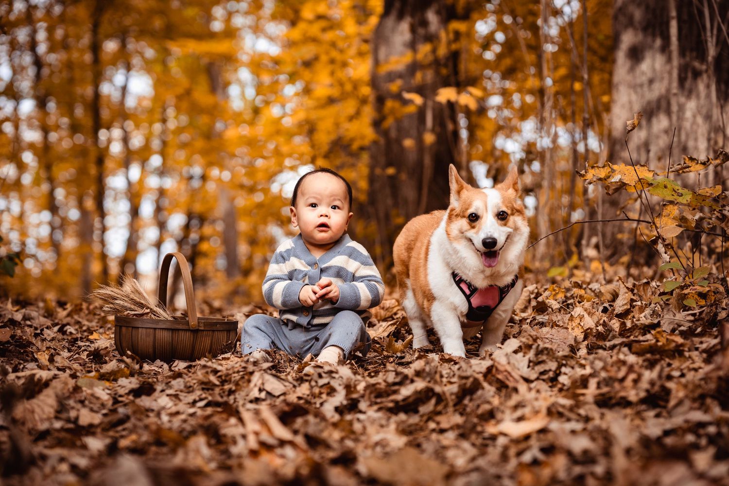 ottawa family photo session