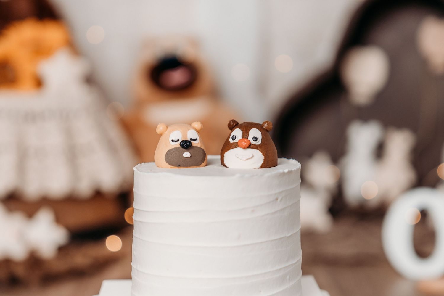 Ottawa cake smash photographer