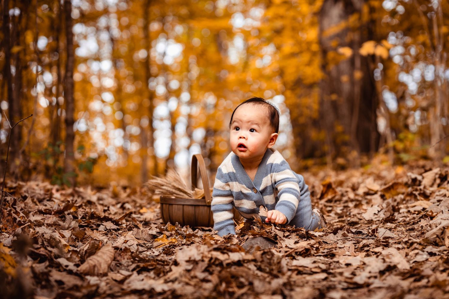 ottawa family photos