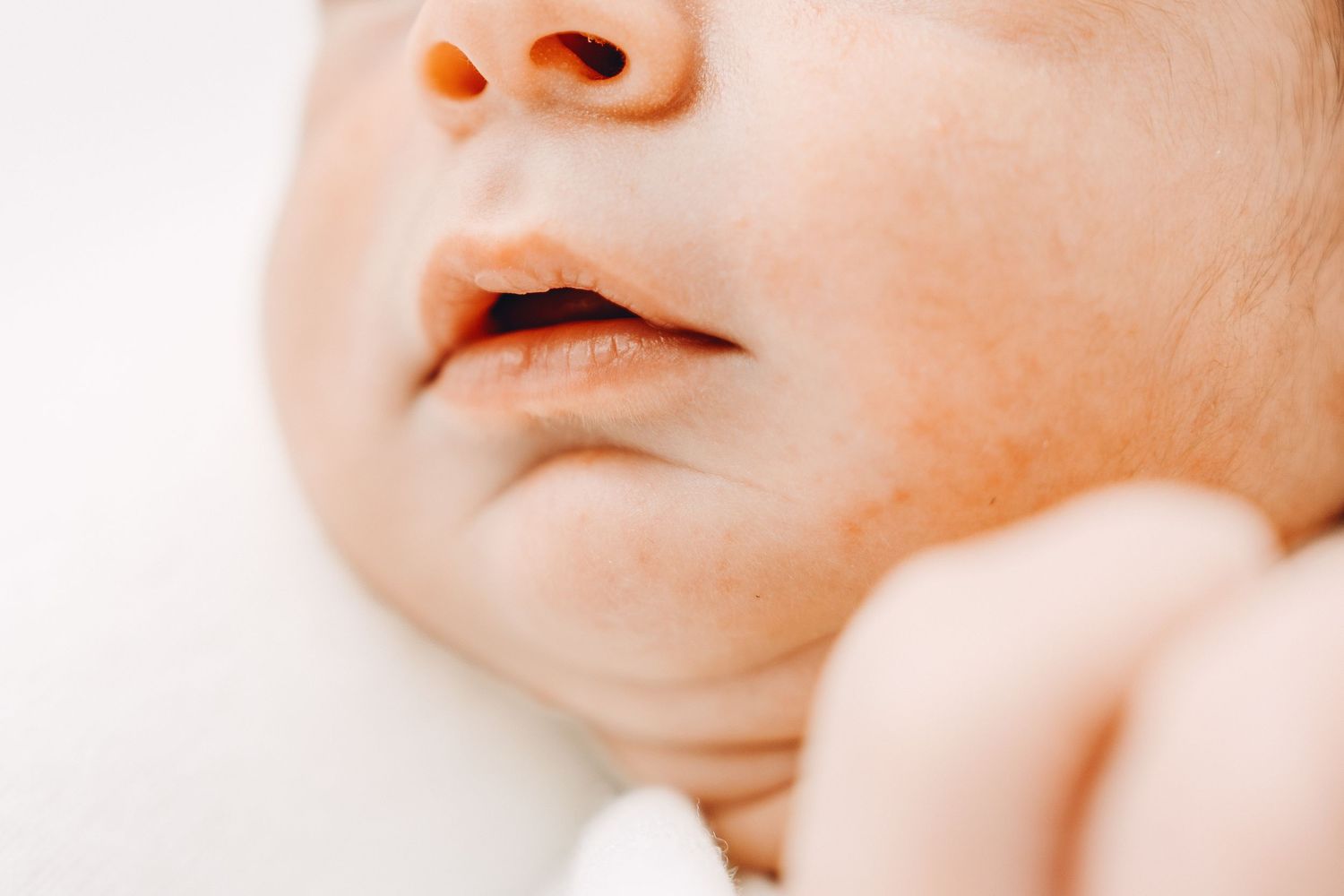 Ottawa newborn session in-home or studio