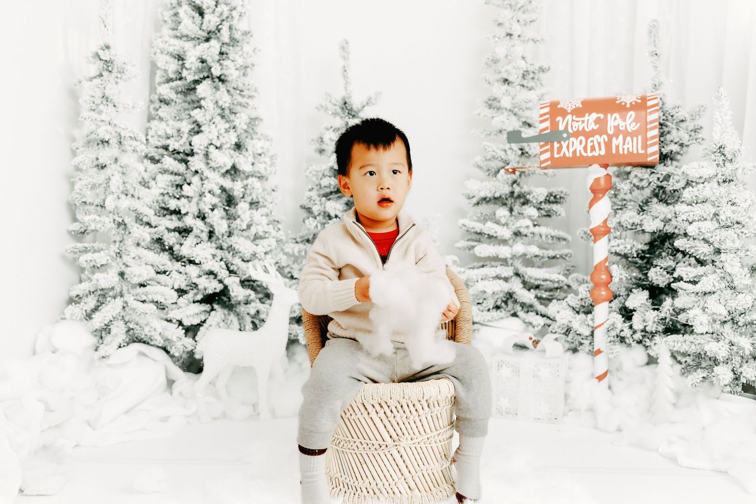 Kanata holiday photos