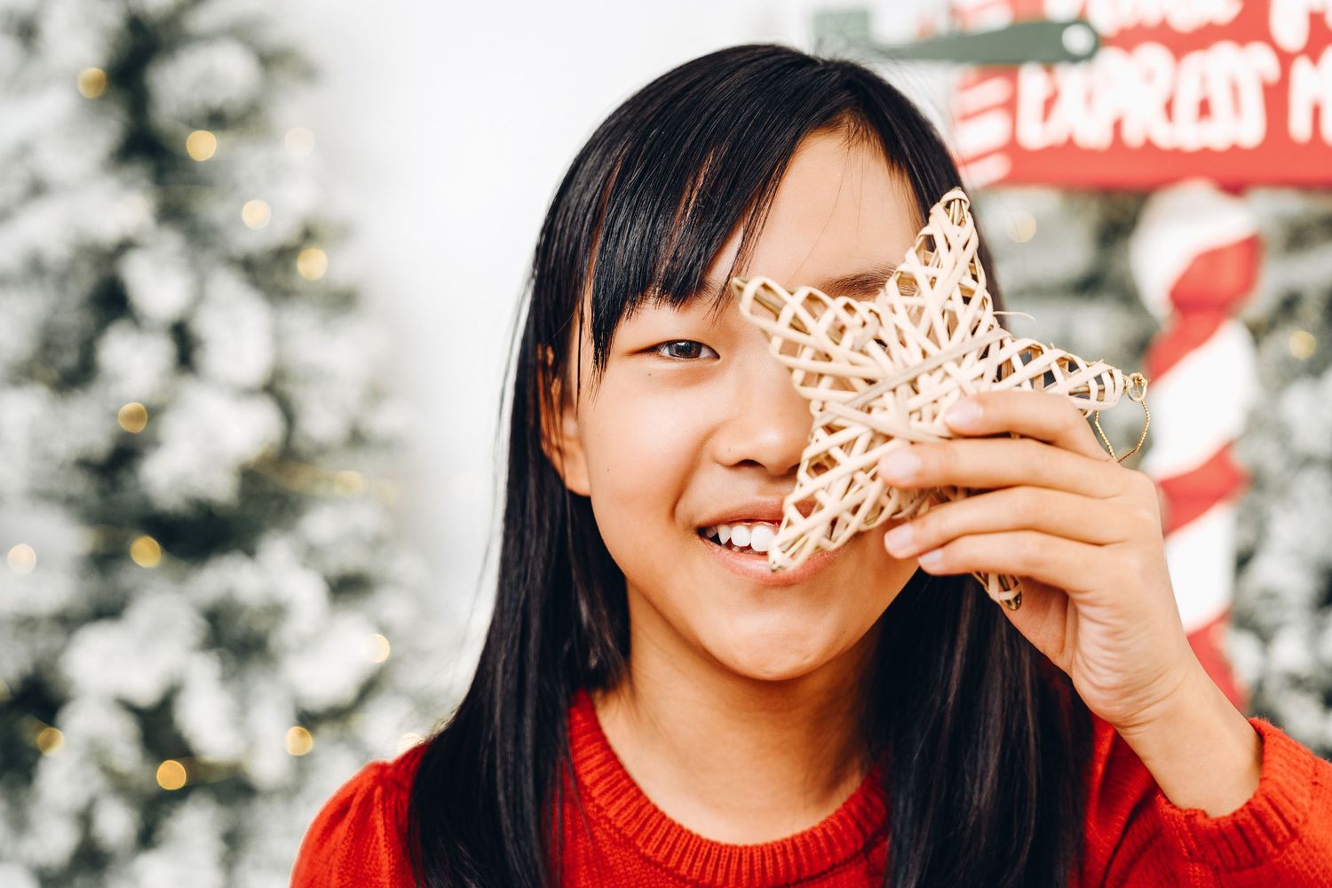 Ottawa holiday photo studio
