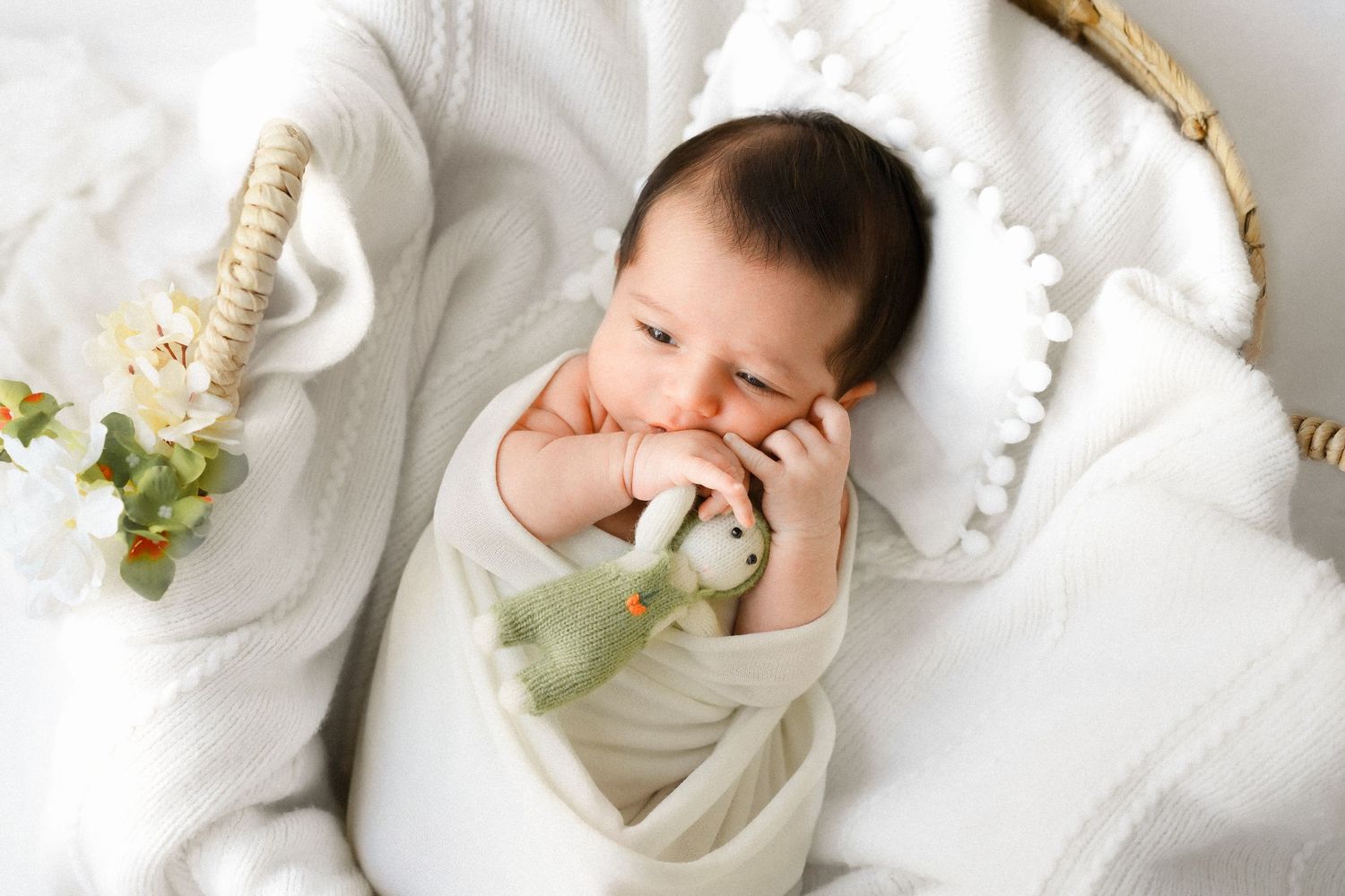 Ottawa newborn session in-home or studio