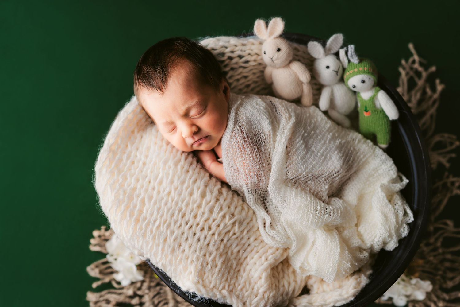 baby studio photography Ottawa newborn