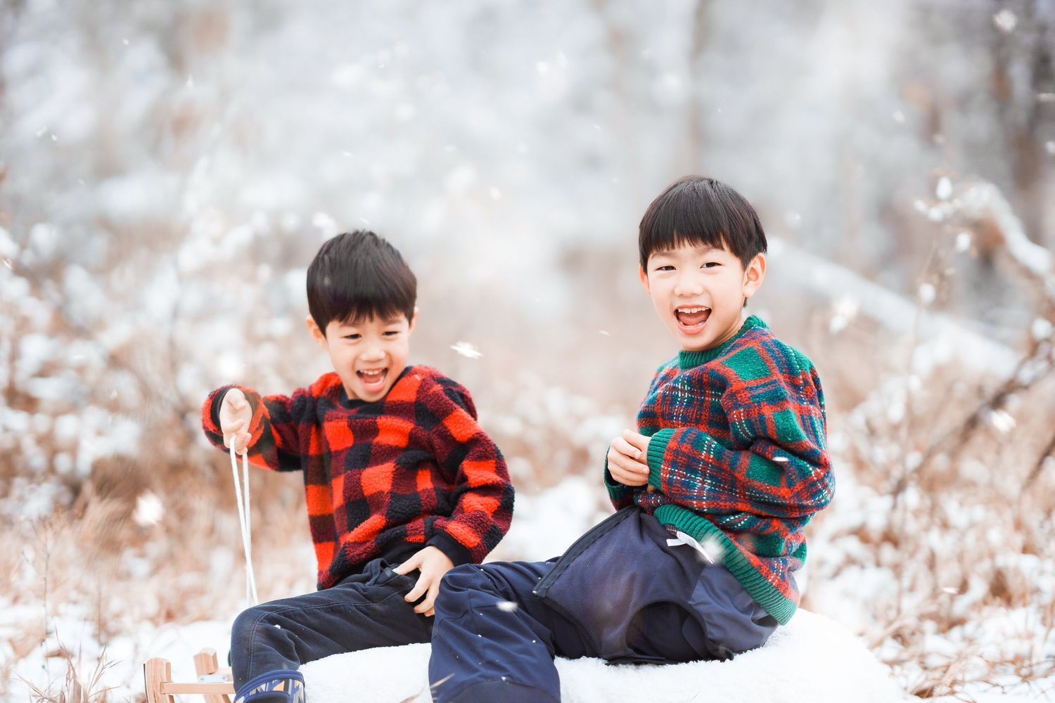 ottawa family photography
